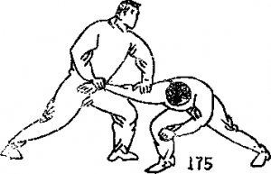 图片16