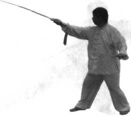 图片19