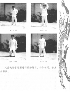 图片113
