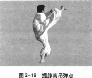 图片19