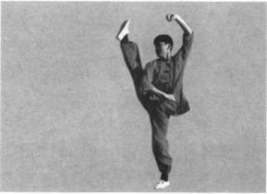 图片29