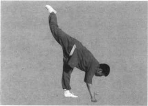 图片39