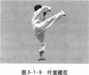 图片55