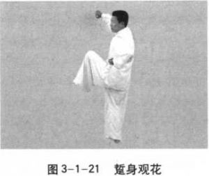 图片66