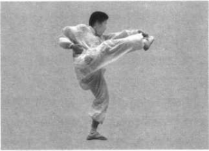 图片10