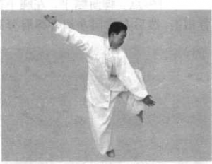 图片15