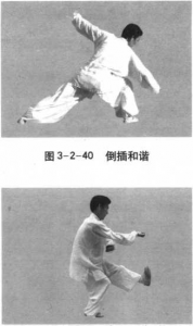 图片36