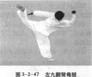 图片41