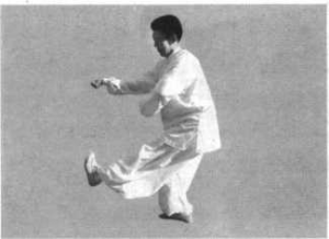 图片88