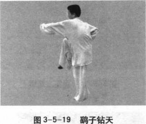 图片16