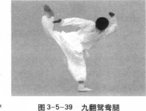 图片34