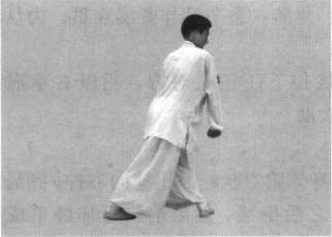 图片51