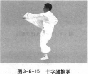 图片13