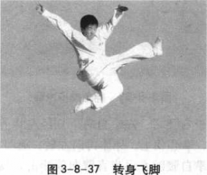 图片30