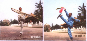 图片11