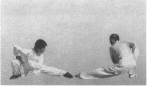 图片15