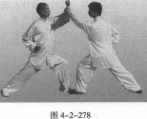 图片24