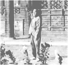 图片5