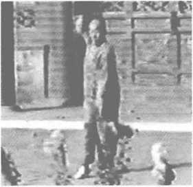 图片8