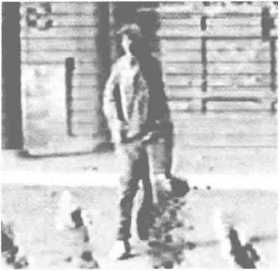 图片10