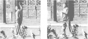 图片11