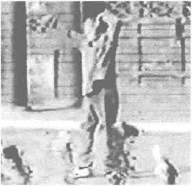 图片13