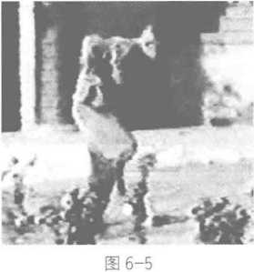 图片6