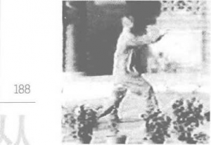 图片7