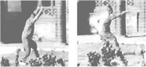 图片10