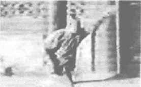 图片11