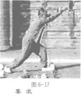 图片16
