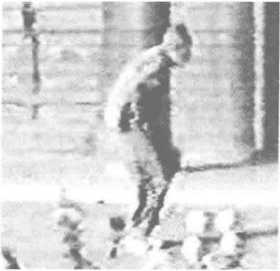 图片14