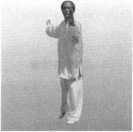 图片7