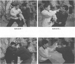 图片16