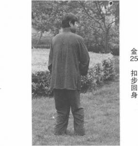 图片47