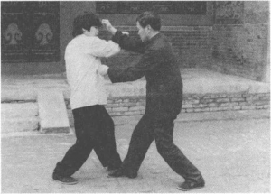 图片31
