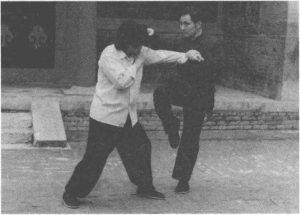 图片33