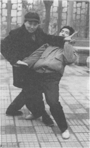 图片36