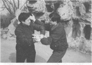 图片37