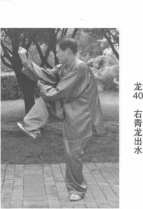 图片65