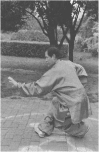 图片66