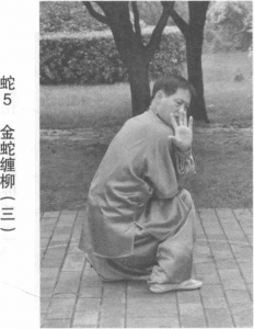 图片87