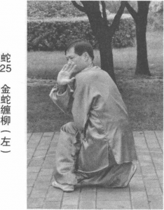 图片101