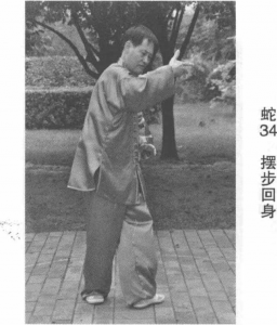 图片109