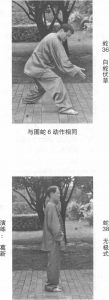 图片111