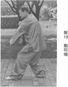 图片133