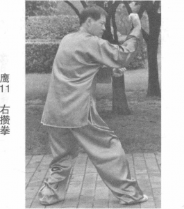图片156