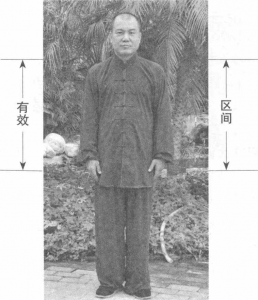 图片169