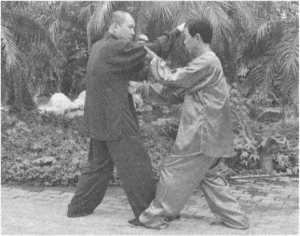 图片183