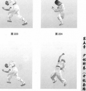 图片13